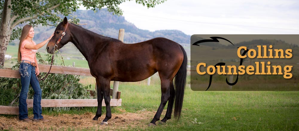 Robin Collins Equine Assisted Counselling