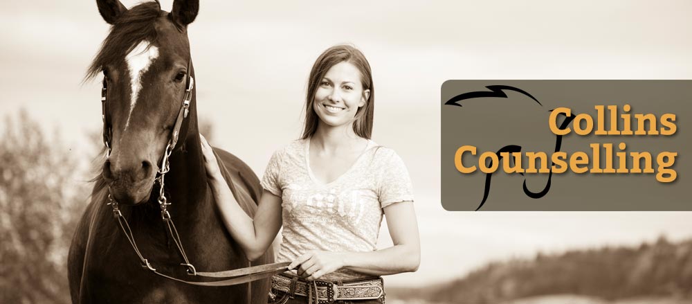 Robin Collins Equine Assisted Counselling